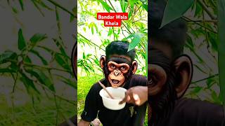 bandar mama 🐒😂🤣 monkey bandar funnyshorts shorts [upl. by Hacker]