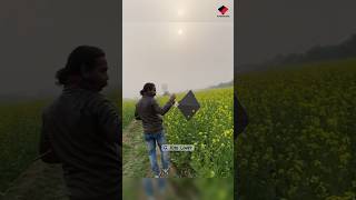 Kite Looting in Farm🔥  kite Flying kitelooting caughtkite patang [upl. by Petrina]