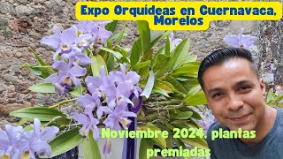 Increíble Expo Orquídeas en Cuernavaca plantas premiadas 2024 [upl. by Laved462]