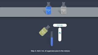 Sucrose Fehling test [upl. by Gwenn]