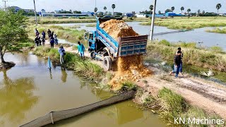 Excellent New Project Filling Land Into Water Near Canal By Bulldozer BD2J amp Truck 5T Dumping Soil [upl. by Swart493]