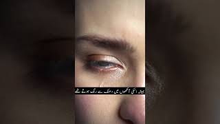 Urdu shairy urdu poetry  sad status shairy sadpoetry poetry urdupoetry urdushayari urdustatus [upl. by Akinorev]