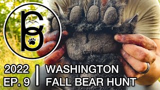 Cruisin’ Bruins  2022 Washington Fall Bear Hunt [upl. by Ishmul]