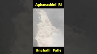 Aghanashini River Waterfalls shorts [upl. by Saiff]