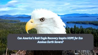 Can Americas Bald Eagle Recovery Inspire HOPE for Eco Anxious Earth Savers facts [upl. by Sydney515]