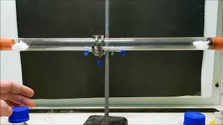 Ammonia and hydrogen chloride diffusion experiment [upl. by Doerrer963]