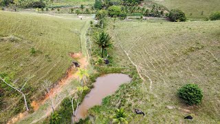 sitio 21 hectares escritura em Tamandaré PE sercado casa sede porteira fechada 11 bois 800 mil [upl. by Aileon]