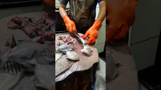 avoli fish cutting [upl. by Bramwell]