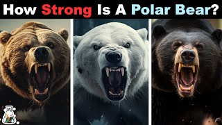 How Strong is a Polar Bear Compared to Other Bears [upl. by Roban]