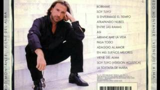 Ricardo Montaner  En Mis Sueños Mejores Cover Audio [upl. by Johnnie561]