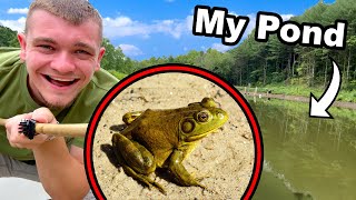 Lets Go Frog Gigging in My Pond [upl. by Marcia]