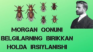 GENLARNING BRIKKAN HOLDA IRSIYLANISHI  MORGON QONUNI [upl. by Freberg72]