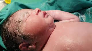 Newborn Baby Video  Our cute stars  Cute Newborn Baby After IVF IVF Success ​Baby Born VIdeo [upl. by Neit]