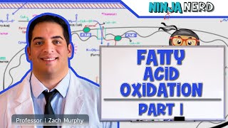 Metabolism  Fatty Acid Oxidation Part 1 [upl. by Lienhard]