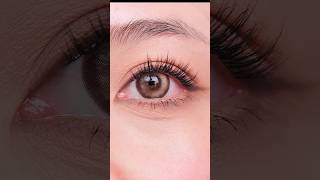 How to Apply False Eyelashes Like a Pro  StepbyStep Tutorial [upl. by Reeva]