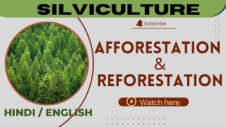 Afforestation and reforestation  definition and objects scoringscience4120  forestry classes [upl. by Sheila582]