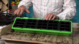 How to use Windowsill Propagator Kits [upl. by Sverre]