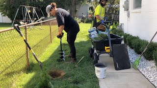 Planting an Emerald Green Arborvitae Hedge  Dirt and Dish [upl. by Sanfred213]