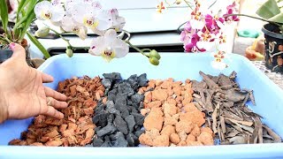 How to make best Potting Mix for Orchid  English Subtitle  Prakritis Garden [upl. by Ferino]