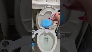 How to put Lysol Toilet Cleaners [upl. by Towrey158]