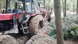 Zrywka drewna Belarus 820 i przyczepa z napędem Work in Forest logging homemade trailer [upl. by Raphael]