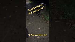 Saarländische Weisheiten 72  3 Arte von Mensche [upl. by Laughry]