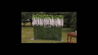 Wedding backdropWesteria flowerboxwood hedge panelgrass wall backdrop panel [upl. by Hagood]