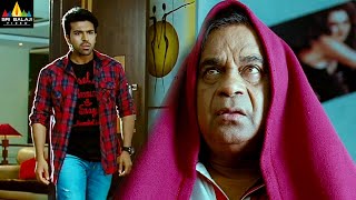 Brahmanandam amp Ram Charan Comedy Scenes Back to Back  Naayak Telugu Movie Scenes Sri Balaji Video [upl. by Kulsrud]