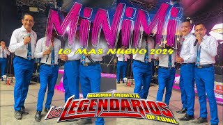 LO MAS NUEVO  Los legendarios de Zunil  Minimi 2024 letra [upl. by Akessej]