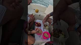 ΡΟΜΑΝΤΙΚΟ δείπνο στην θάλασσα 😂😂 fishing fish fishinglife summer [upl. by Ramoh905]