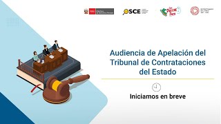 Audiencia de Apelación del Tribunal de Contrataciones del EstadoS4 EXP 109632024TCE [upl. by Lister271]