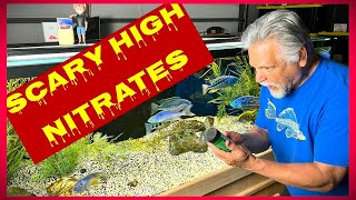 My 5 Best Tips to LOWER NITRATES Plus 3 PRO BONUS TIPS [upl. by Elison500]