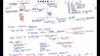 Antihypertensive Pharmacology  RAAS Inhibitors  ACE inhibitors  Angiotensin Receptor Blockers P3 [upl. by Lynnette479]