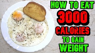 How To Eat 3000 Calories A Day To Gain Weight [upl. by Mintun]