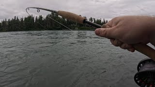 Kenai river Alaska soldotna creek park fishing for sockeye salmon on my new fly rod flossing reds [upl. by Nitsed]