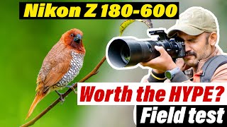 Is it really worth the hype  Nikon Z 180600 lens field test  birdphotography nikon wildlife [upl. by Siloam]