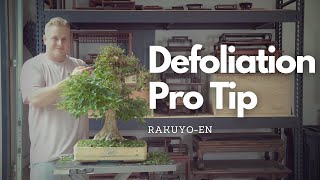 Defoliation Pro Tip  How to Quickly Defoliate Your Bonsai [upl. by Thursby393]