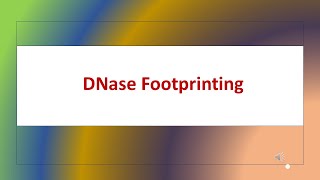 Dnase footprinting Molecular Techniques [upl. by Kacerek979]