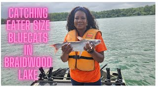 Catching the best eating size catfish out of Braidwood Lake [upl. by Stalder946]