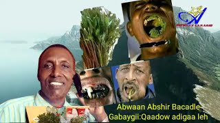 GABAYGII QAADOOW ADIGAA LEH ABWAAN ABSHIR BACADLE [upl. by Clemente]