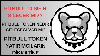 PİTBULL TOKEN 100x YAPABİLİR Mİ  PİTBULL TEKNİK VE TEMEL ANALİZ  GELECEĞİ YORUM [upl. by Earley884]