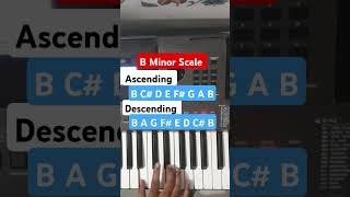 B Minor Scale [upl. by Grey860]