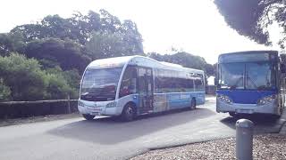 Rottnest Express Optare Solo SR 1EXU249 Departs Thomsons BayRottnest Island [upl. by Kubetz592]