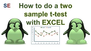 How to do a two sample ttest with EXCEL [upl. by Lekkim]