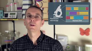 Restriction Enzymes in Optical Mapping [upl. by Soinski875]