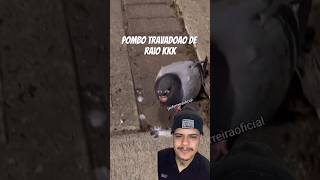 Pombo travadao de raio kkkk [upl. by Arlee900]