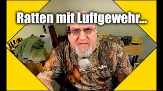 Luftgewehr Ratten im eigenen Garten erlegen [upl. by Weisman344]