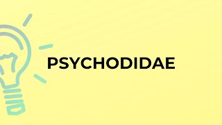 What is the meaning of the word PSYCHODIDAE [upl. by Rialb966]