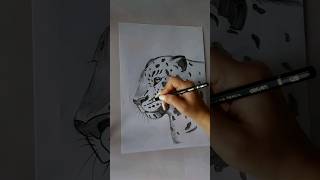 Leopard drawing 🐆 art trend glamour leopard shortvideo [upl. by Inge161]