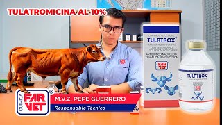 Solución para NEUMONÍAS GRAVES gabarro y conjuntivitis en Bovinos con UNA SOLA DOSIS TULATROX [upl. by Sualohcin]